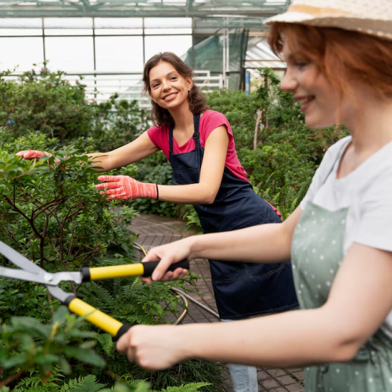 pruning-plants